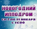 Новогодний ипподром - добро пожаловать!