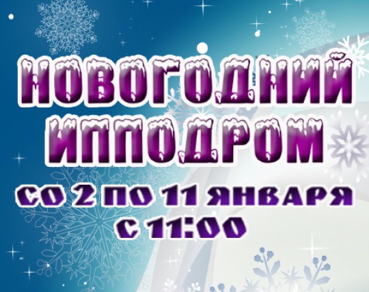 Новогодний ипподром