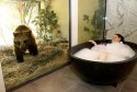 Отель с дикими животными &ndash; опасно ли это?