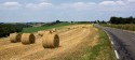 Опрос: Чем привлекательна жизнь на селе?